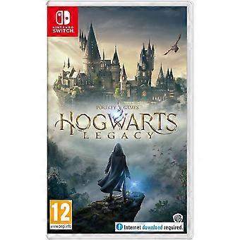 Hogwarts Legacy Switch Game