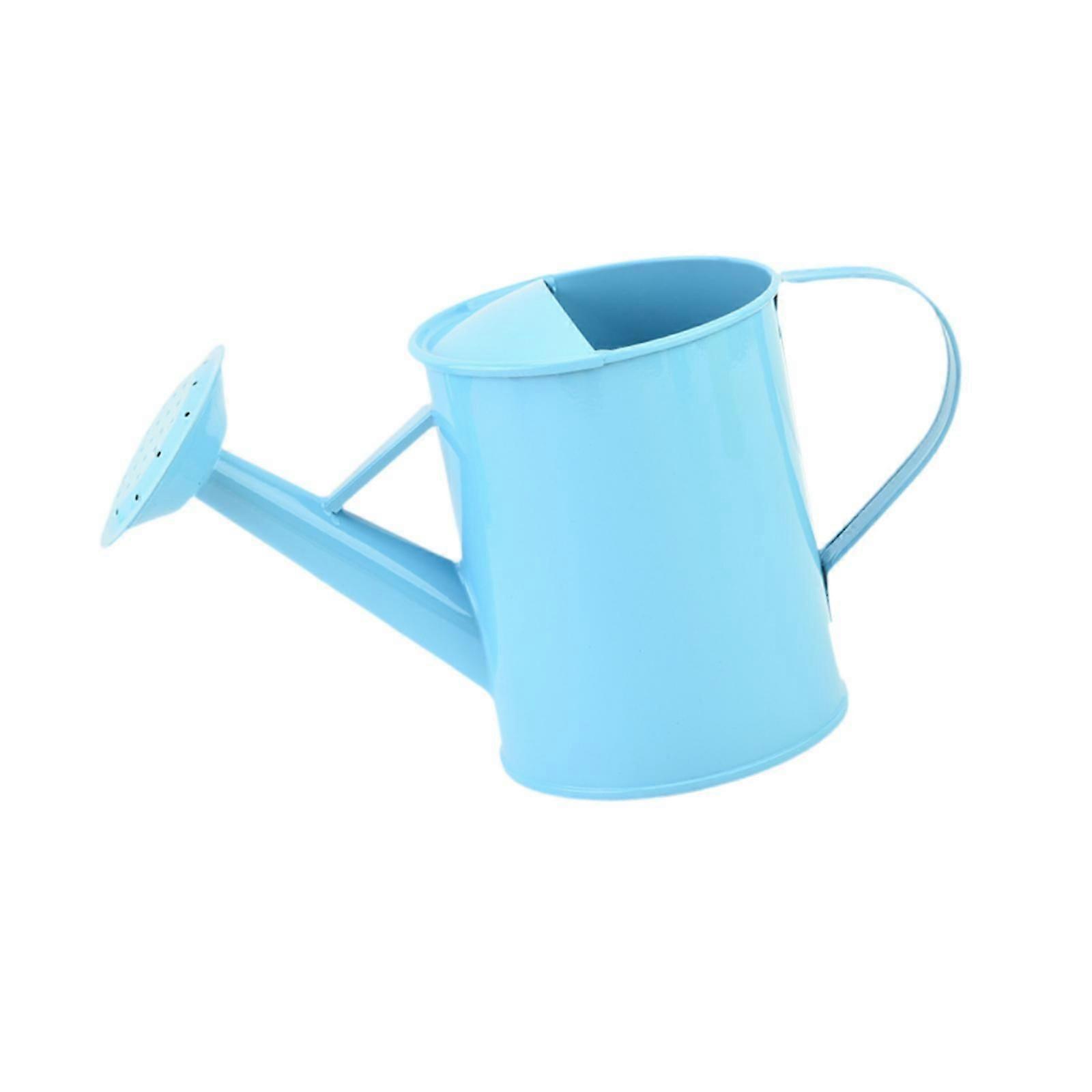 Watering Can Multifunctional Flower Container for Patio Plant Lovers Balcony blue