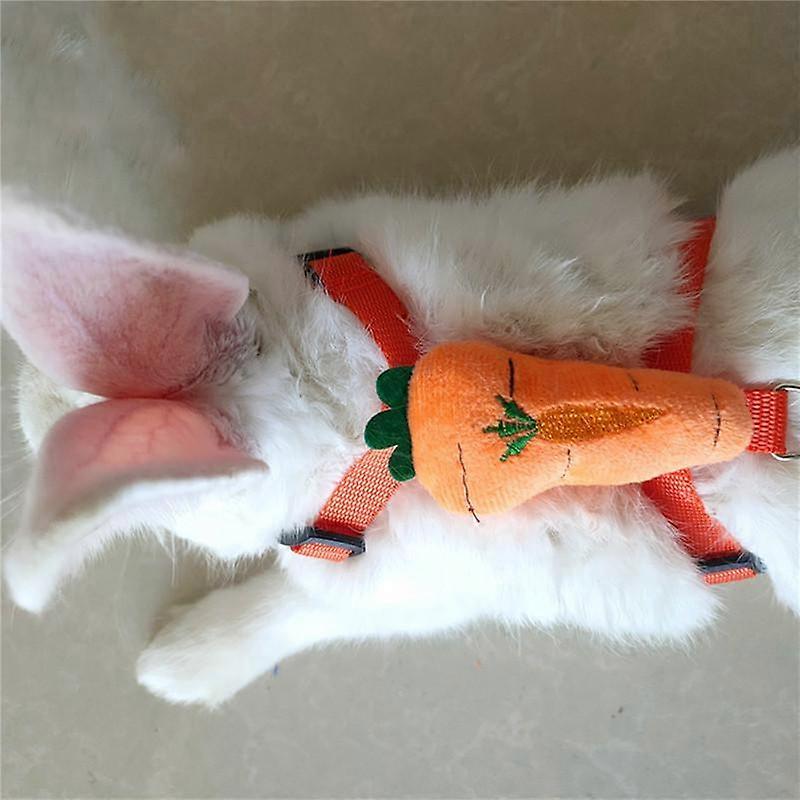 Dag Cat Rabbit Leash Rabbit Accessories Adjustment Prevent Escape ...