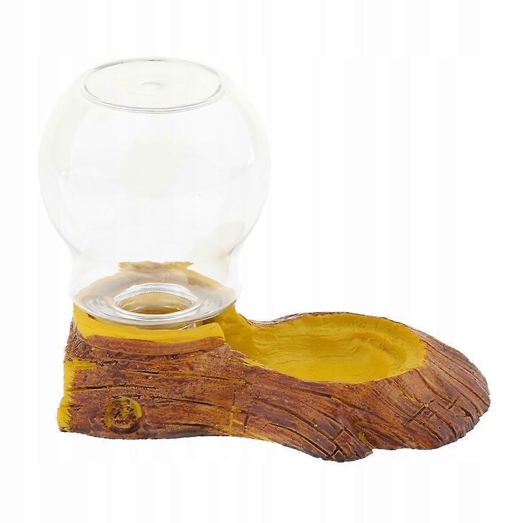 Blesiya Reptile Tortoises S Automatic Waterer