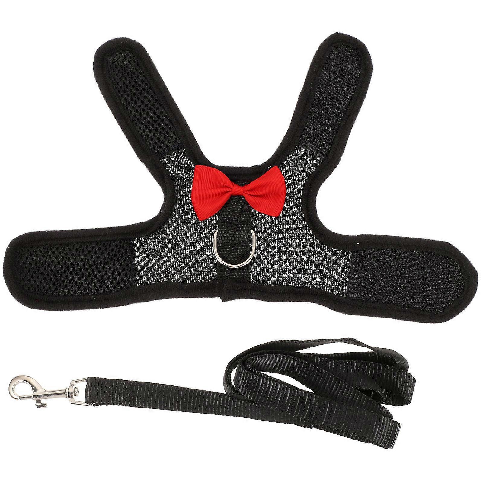 Comfortable Small Pet Gear, Durable and Stylish for Everyday Adventures