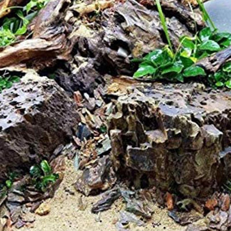 Grandes branches naturelles de bois flotté reptiles aquarium aquarium aquarium aquarium aquarium