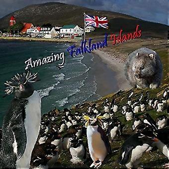 Verbazingwekkende Falklandeilanden