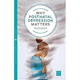 Pourquoi les questions de dépression périnatale (Pinter & Martin Why it Matters)