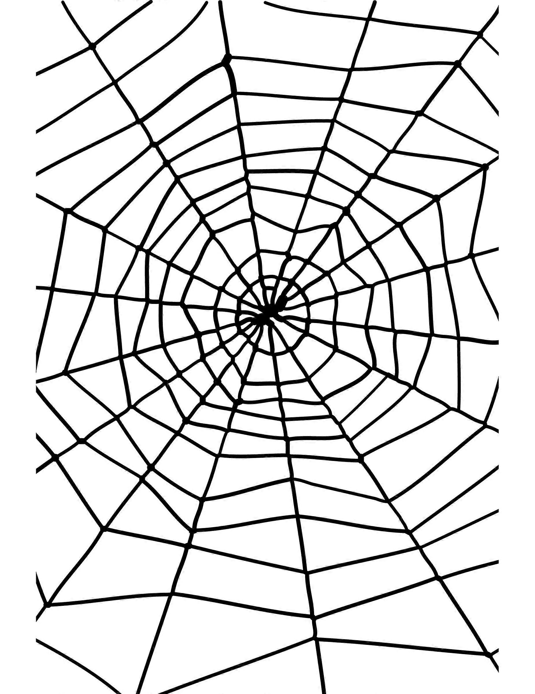 Halloween Spider Web 1.5m
