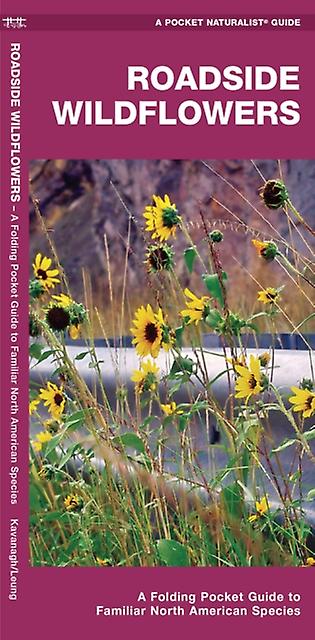 Roadside Wildflowers - Waterford Press