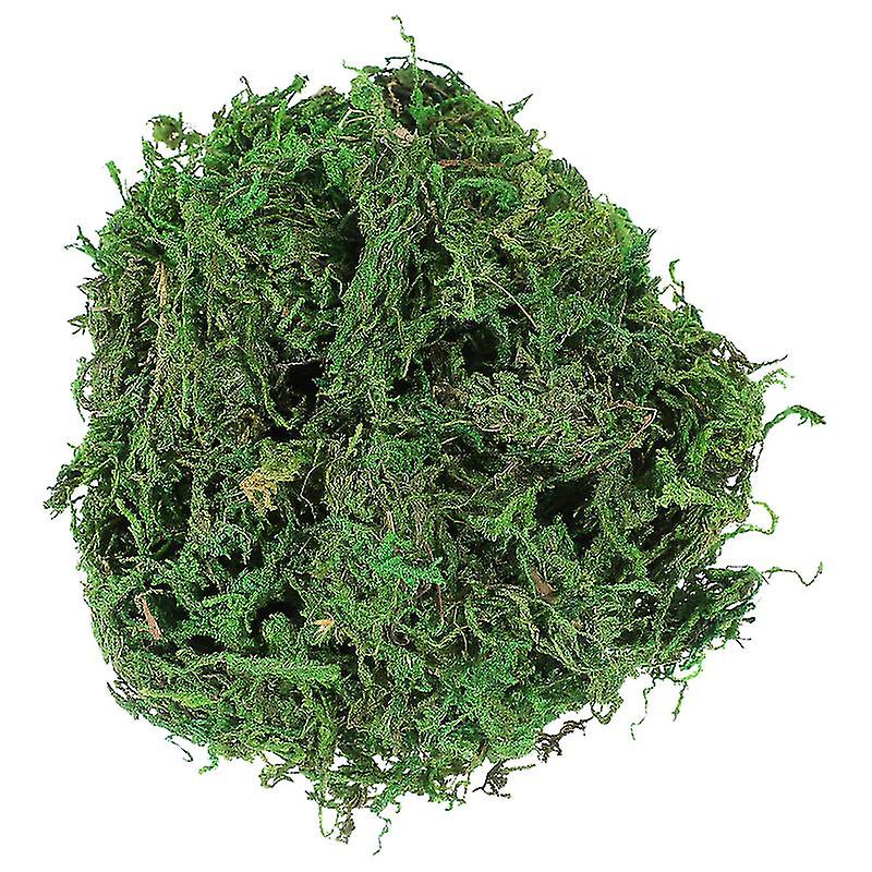 3pack Dried Natural Moss