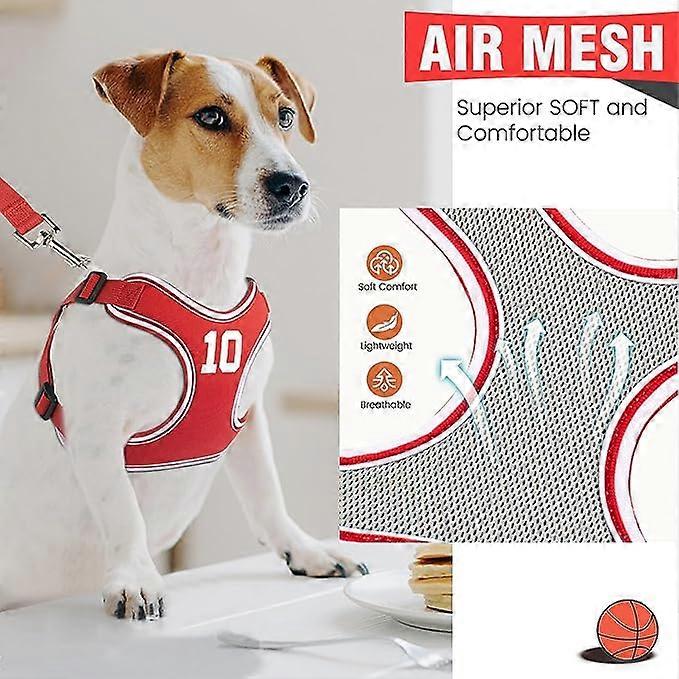 Dog Harness and Leash Set, Adjustable Step in Pet Vest Harness Soft Easy Walk, No Chock Puppy Harness for Small Medium Dogs