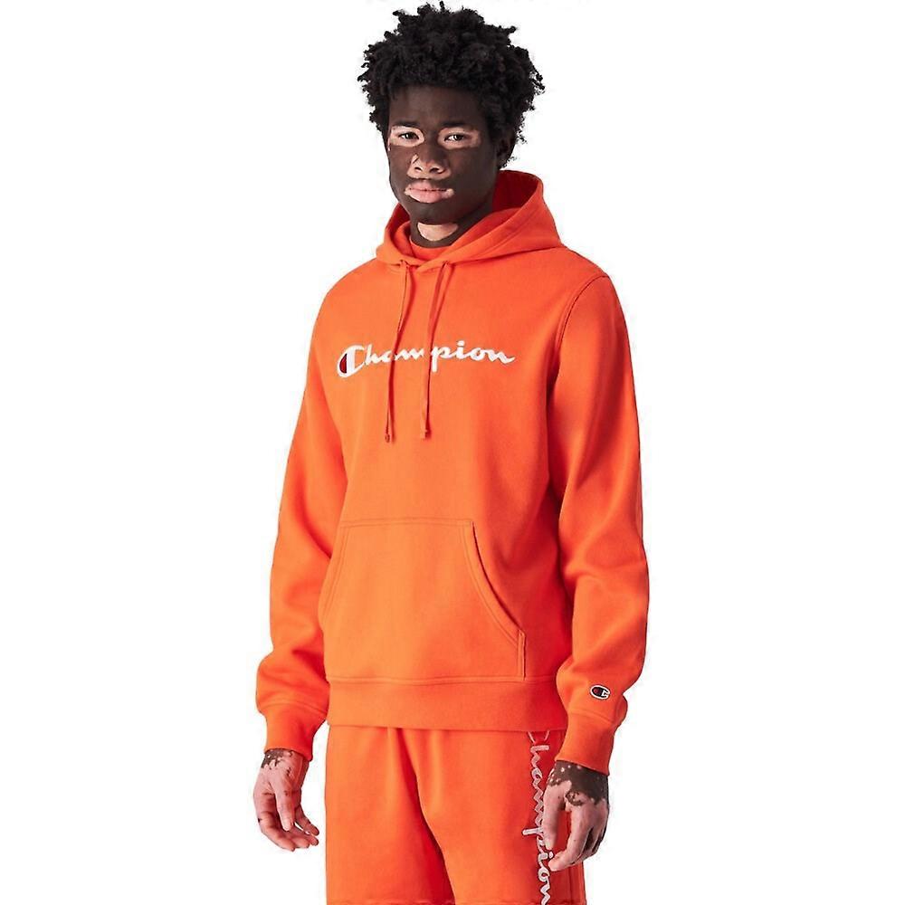 Sweatshirts Champion B24182