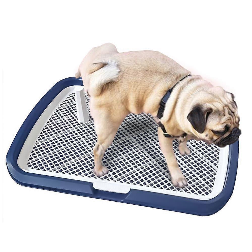 Dog Toilet Flat Design 65 x 50 cm for Indoor Use - Waterproof Base, Removable Tray, Non-Slip Feet, Blue