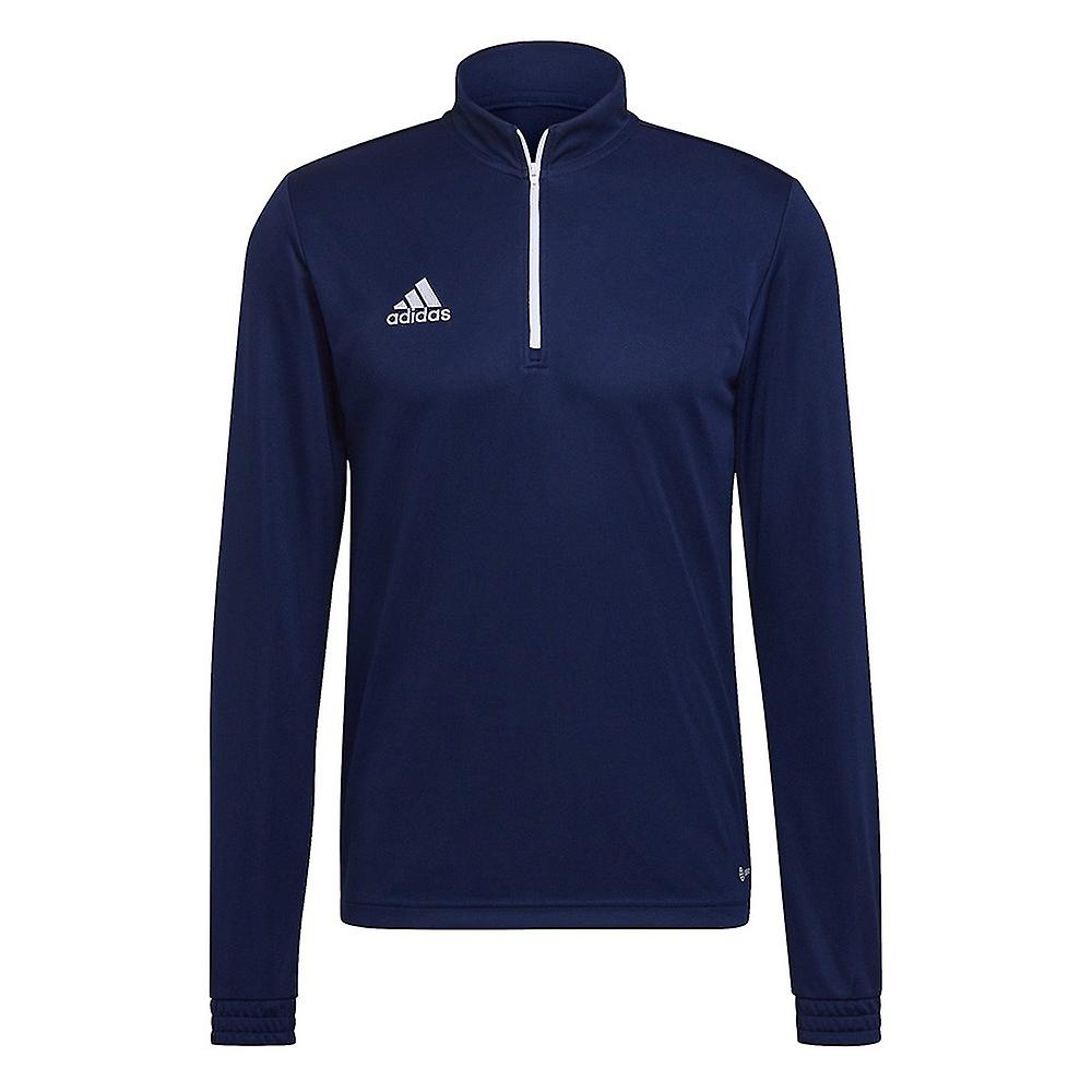Adidas Entrada 22 Training HB5327 training all year men