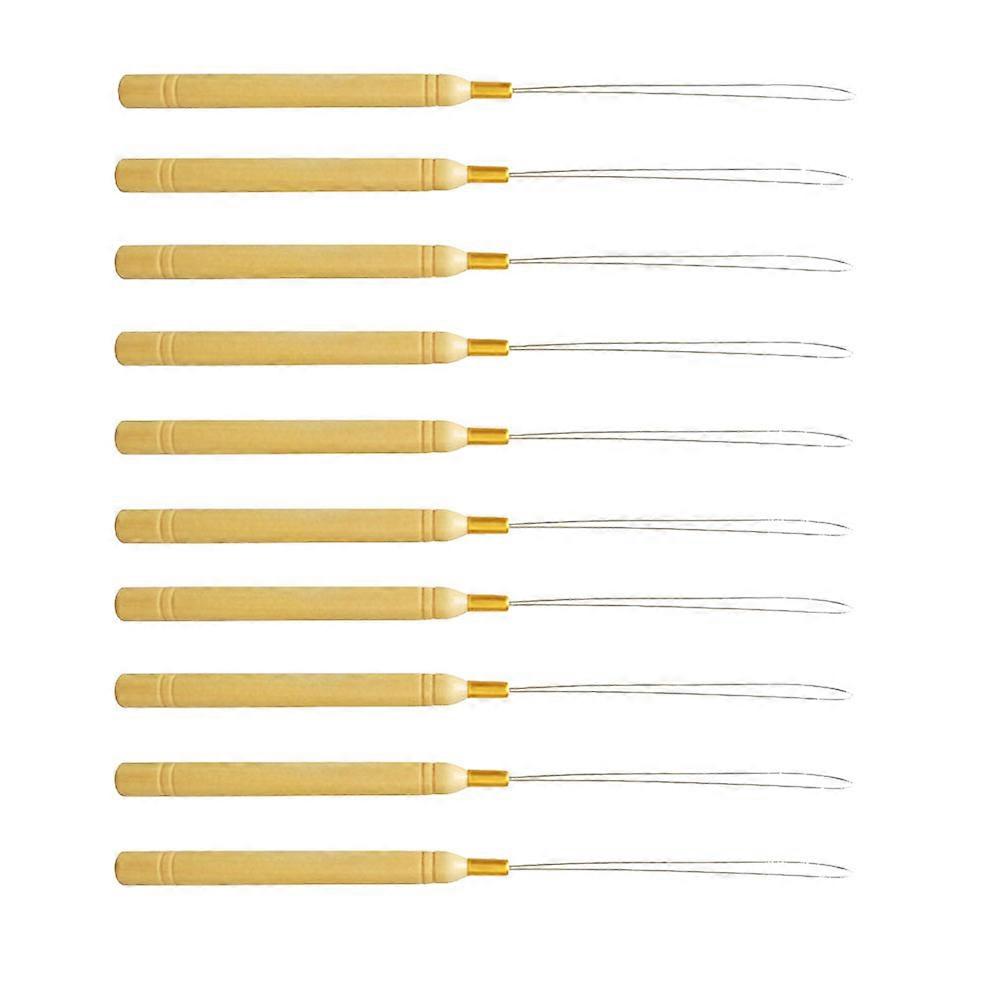 10pcs Hair Extension Kit with Loop Crochet Hooks – Durable Pulling Needles for Easy Hair Extensions, Wig Transplants, DIY Projects, Salon & Home Use