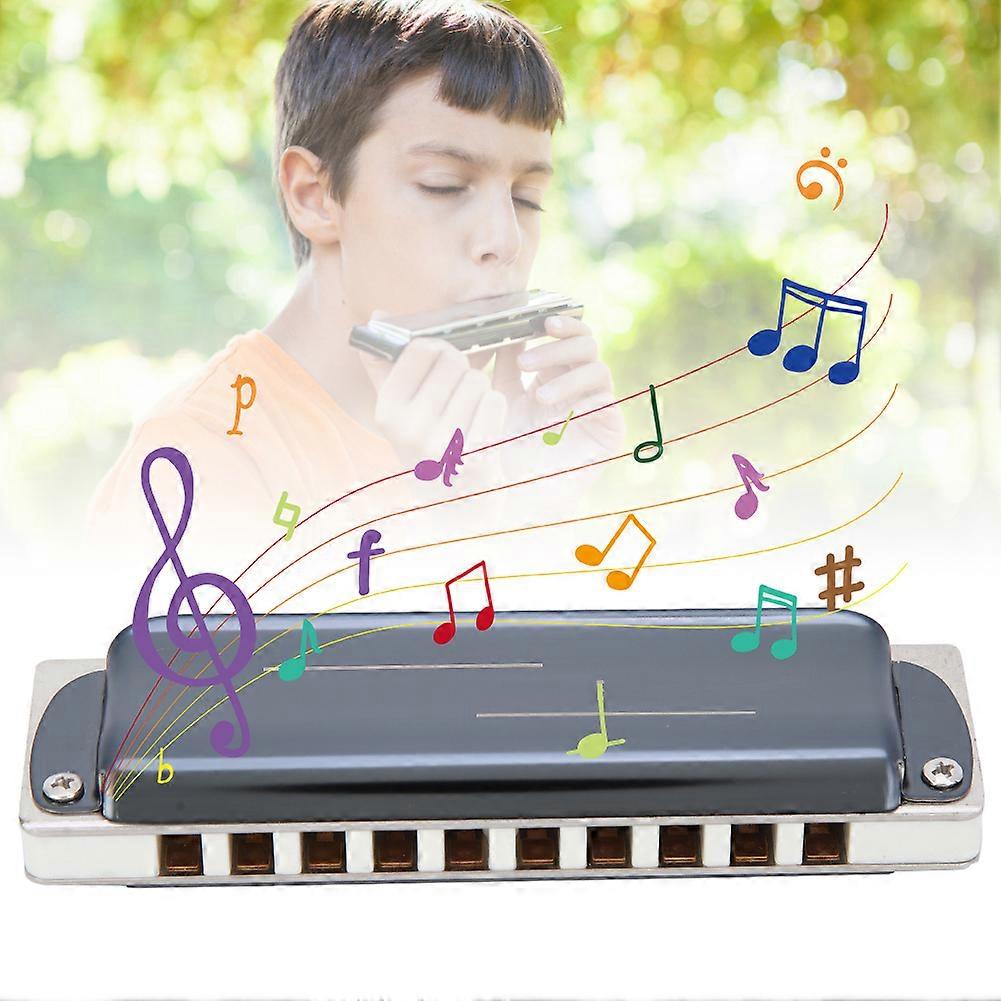 10-Hole Blues Harmonica KS-10BH White, 100x27x20mm Beginner