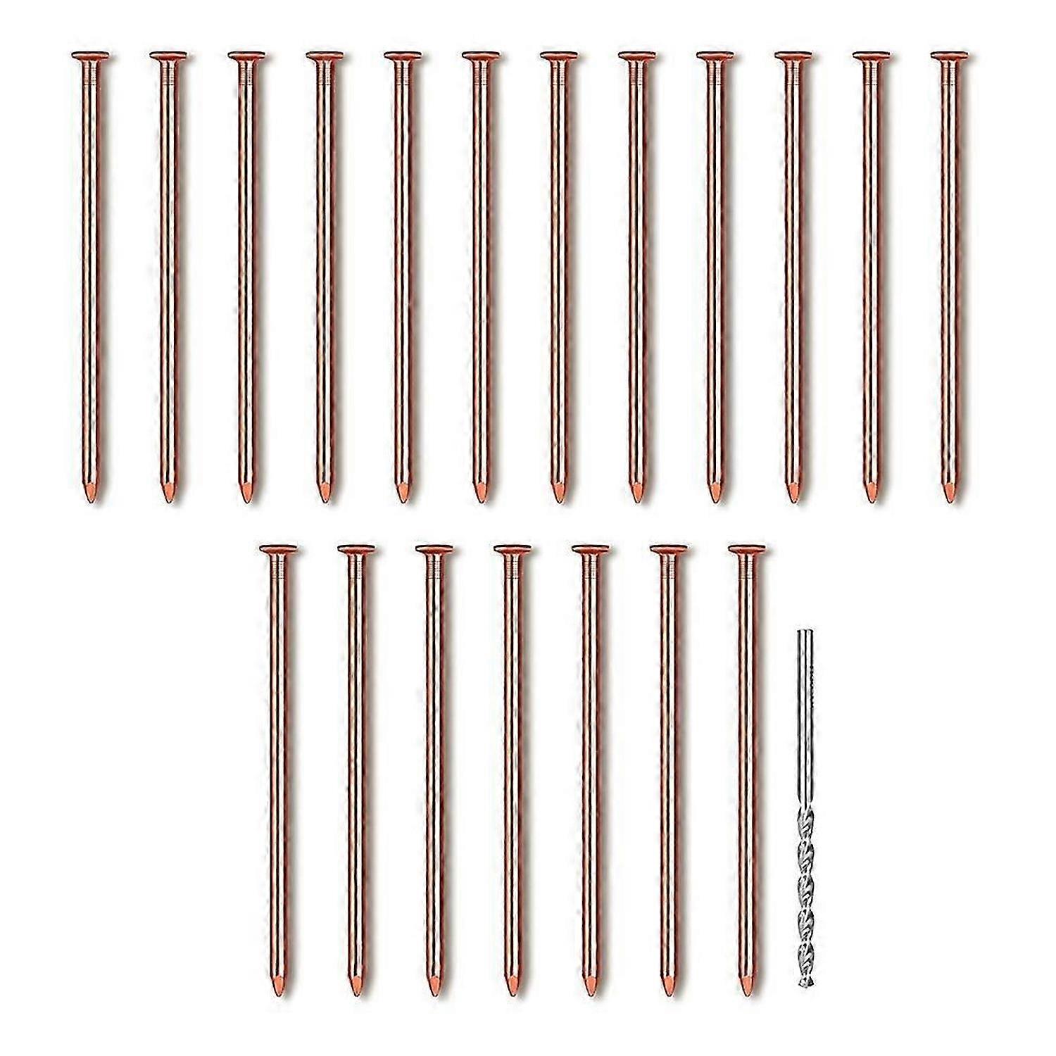 25Pcs Copper Nails, 3.14 Inch Long Pure Copper Nails Bulk with Drill Bit, Remove Stake Nails Hardware Nails for Trees