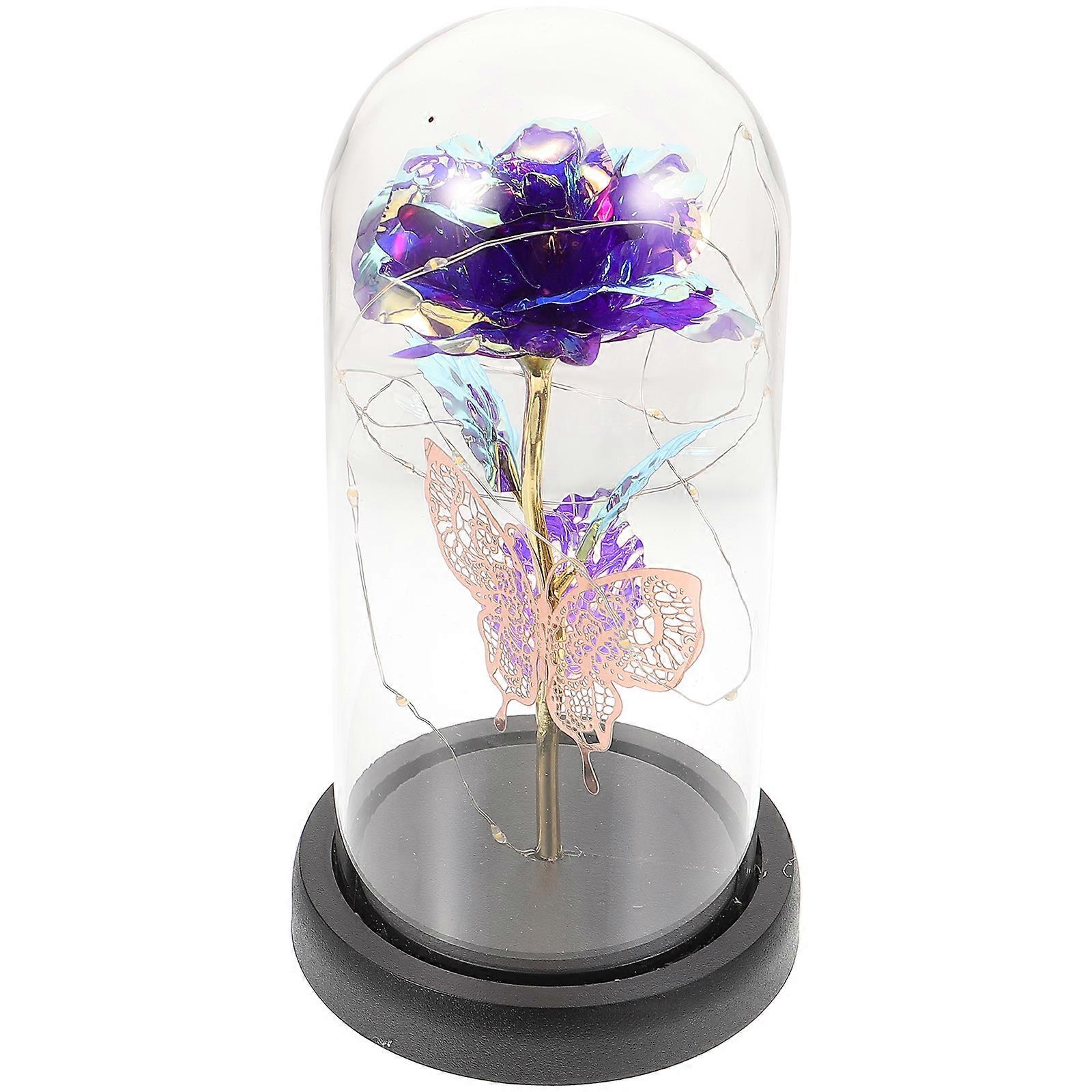 Preserved Flower Decor with Dome for Decoration 5Pcs Gift