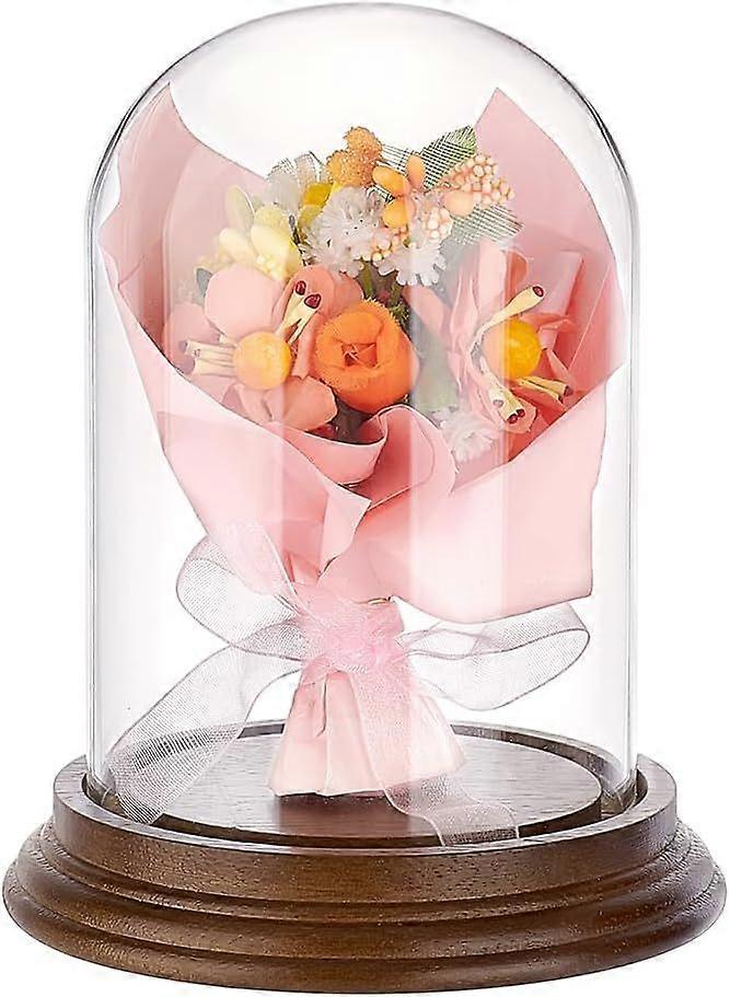 4.2" x 5.5" Glass Display Dome Cloche Clear Bell Jar Display Case Glass Dome Tabletop Centerpiece with Solid Wood Base for DIY Snow Globes Flowers Pla