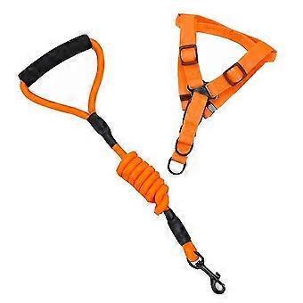 Pet Telescopic Traction Rope Security Lock Tensile Travel Leash