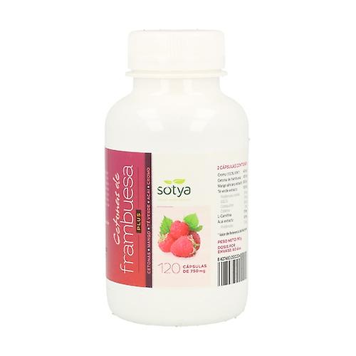 Raspberry Ketone Plus 120 capsules
