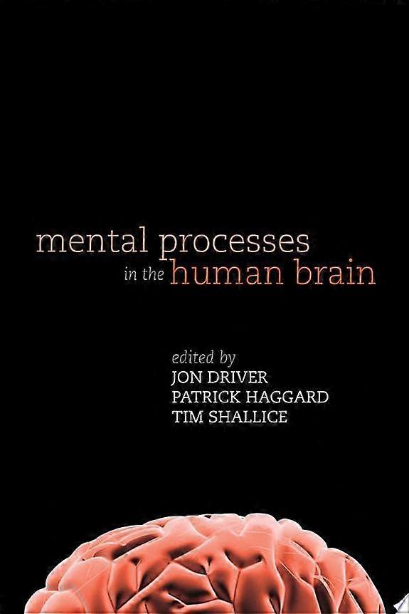 Mental processes in the human brain