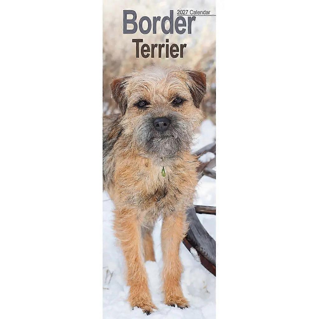 Avonside Border Terrier Calendar 2026 Slimline