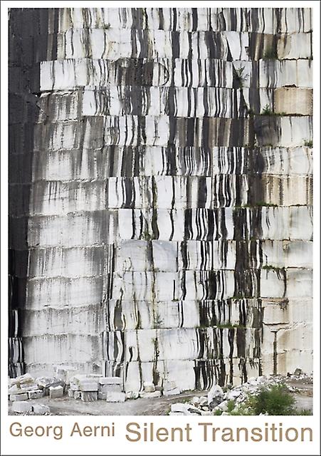 Georg Aerni  Silent Transition Paperback
