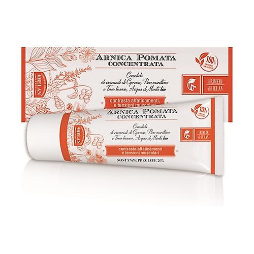 Arnica Rimedi di Helan Concentrated Ointment 75 ml