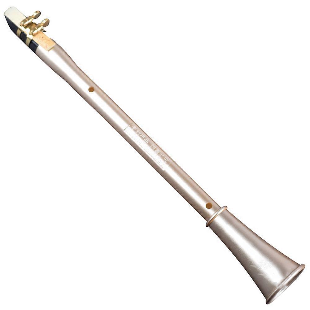 Pocket Mini Portable Clarinet Saxophone Little Saxophone Be Bb C D E F Key With Carrying Bag Woodwind Instrument