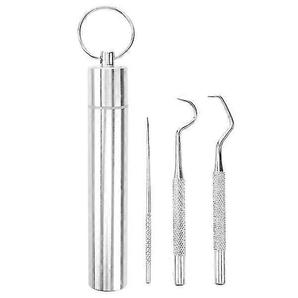 1 Set Stainless Steel Toothpicks Portable Tooth Hooks Teeth Clean Tools