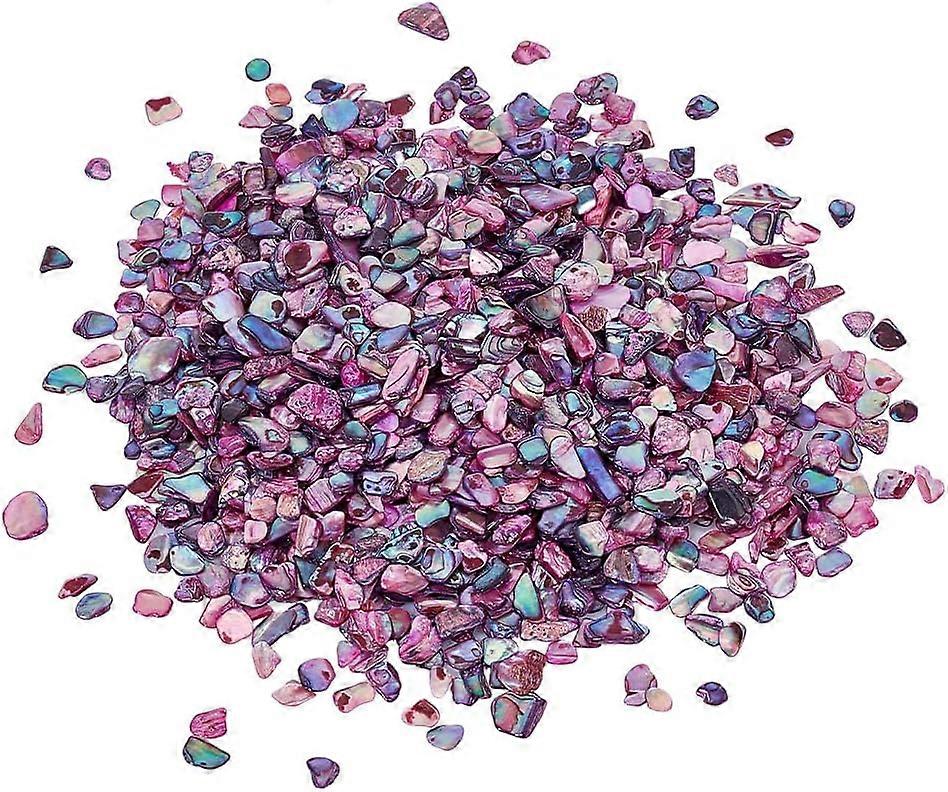 1 Bags Abalone Shell Flakes Cabochons Nail Art Decorations Accessories Nuggets Medium Orchid 5~12x3~6x0.5~1.5mm
