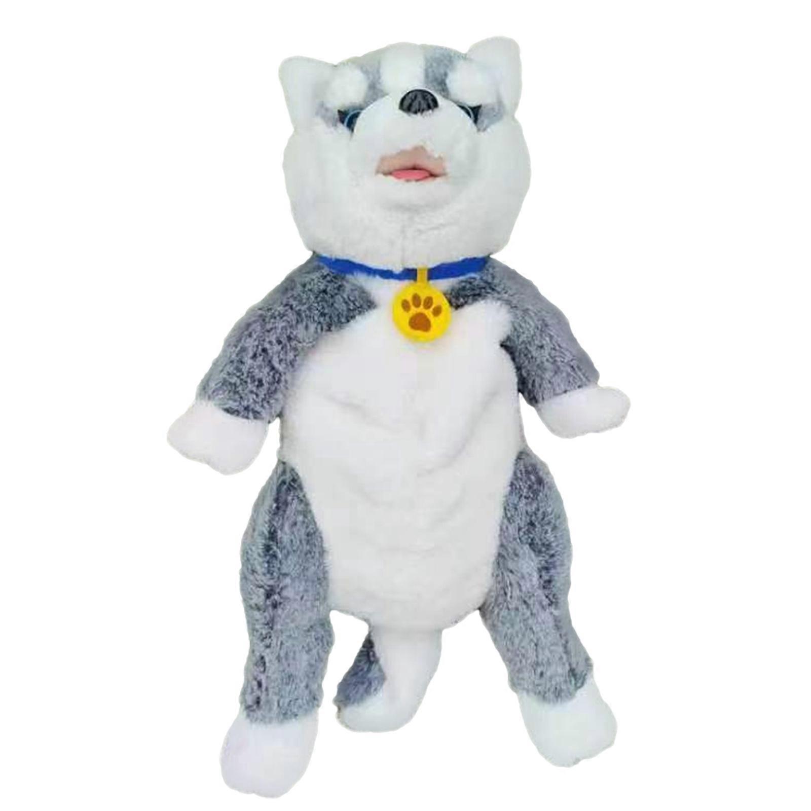 Cat and Dog Simulation Pet Backpack, Touch Sensitive Singing Electric Backpack