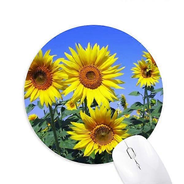 Sonnenblumen Muster Blau Himmel Mauspad