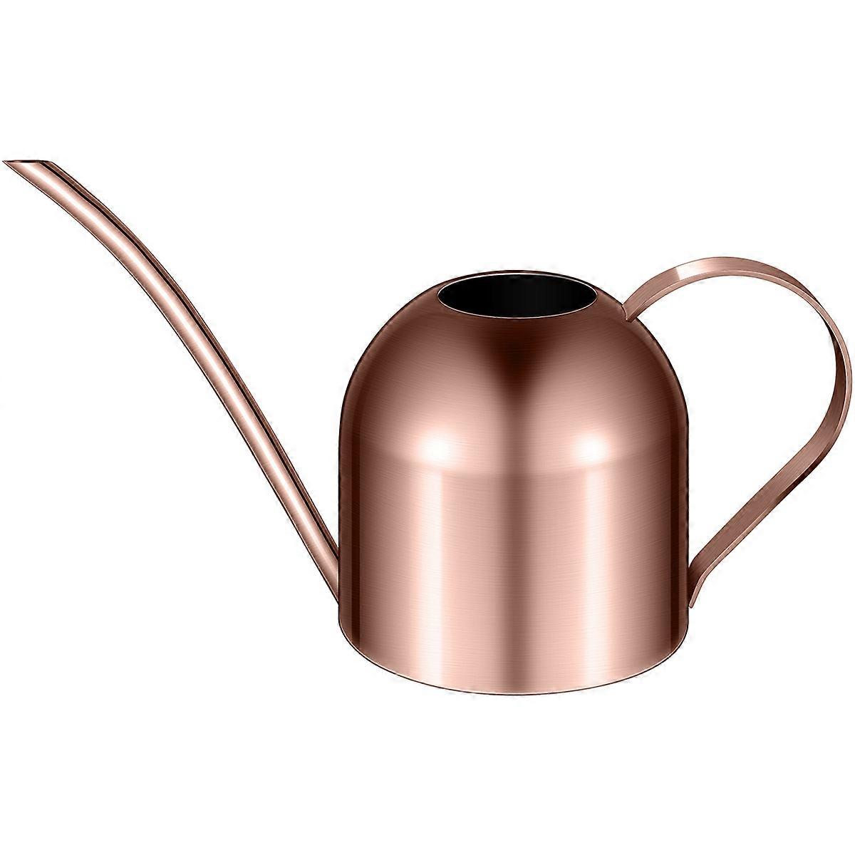 Stainless Steel Watering Pot for Rust Prevention 1Pack