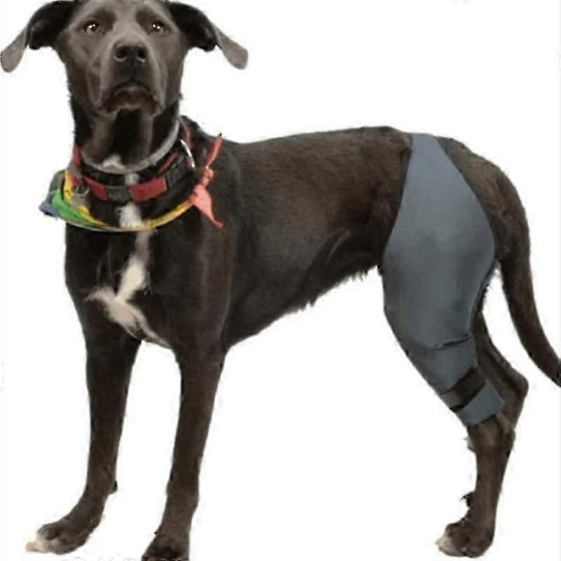 脚の怪我の後のペット保護具脚保護スリーブ犬膝パッド