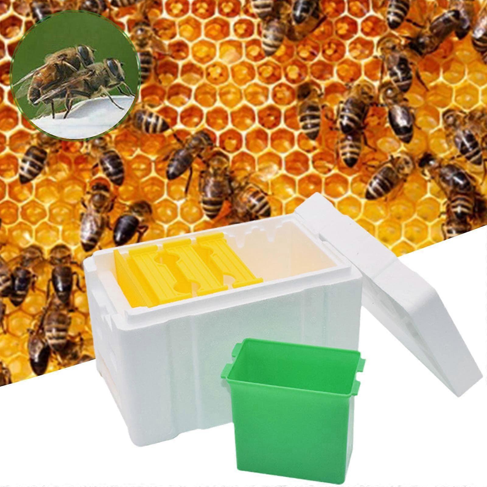 Mini Mating Nuc Box,Queen Mating Nuc Box,Bee Mating Hive for Bees Bee Hives Boxes Bee House Queen Rearing Boxes for BeekeepingA
