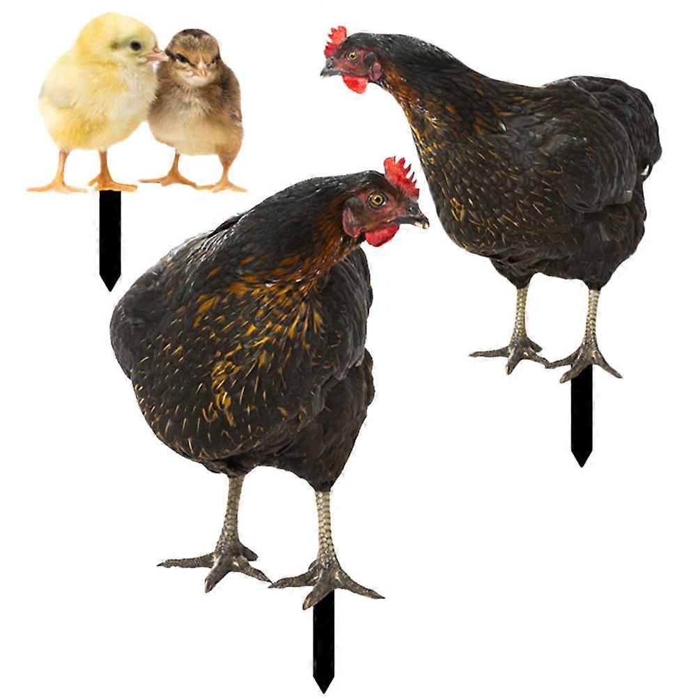 Backyard Hen Insert Garden Stake for Decoration 2Sets