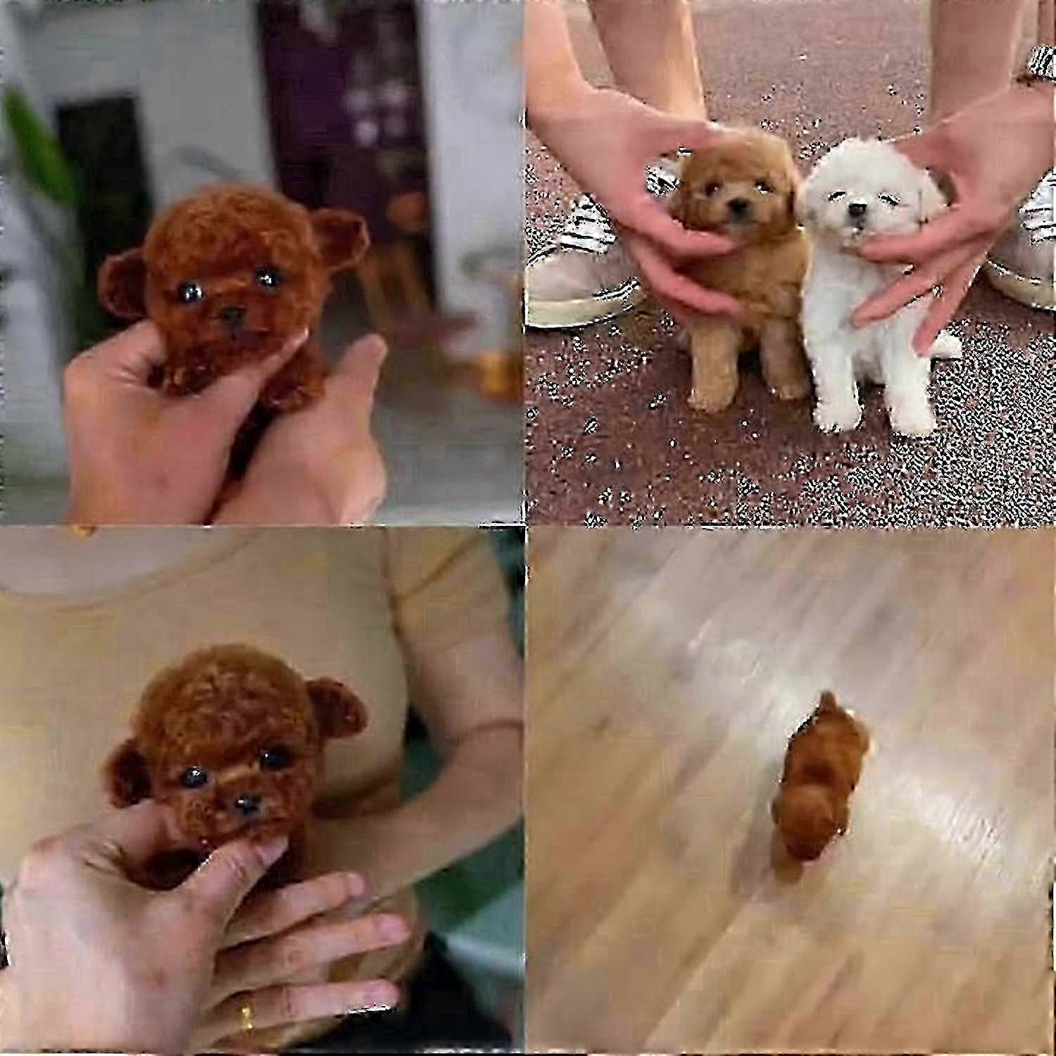 2025 New Robot Dog for Adults, AI Robotic Dog, Nicoo - My Realistic Robot Puppy That Acts Like a Real Puppy - Walking, Barking, Tail Wagging