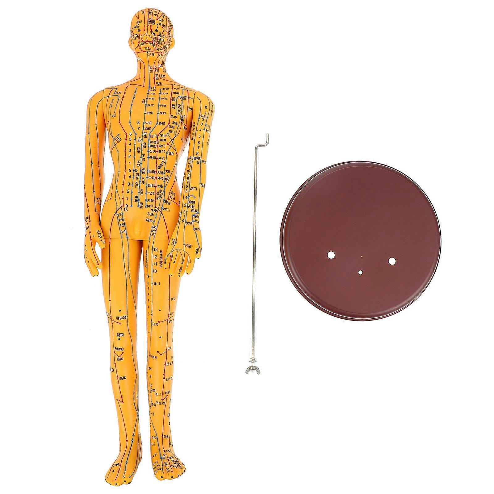 Durable PVC Orange Model for Display Use with Realistic Design 1pc