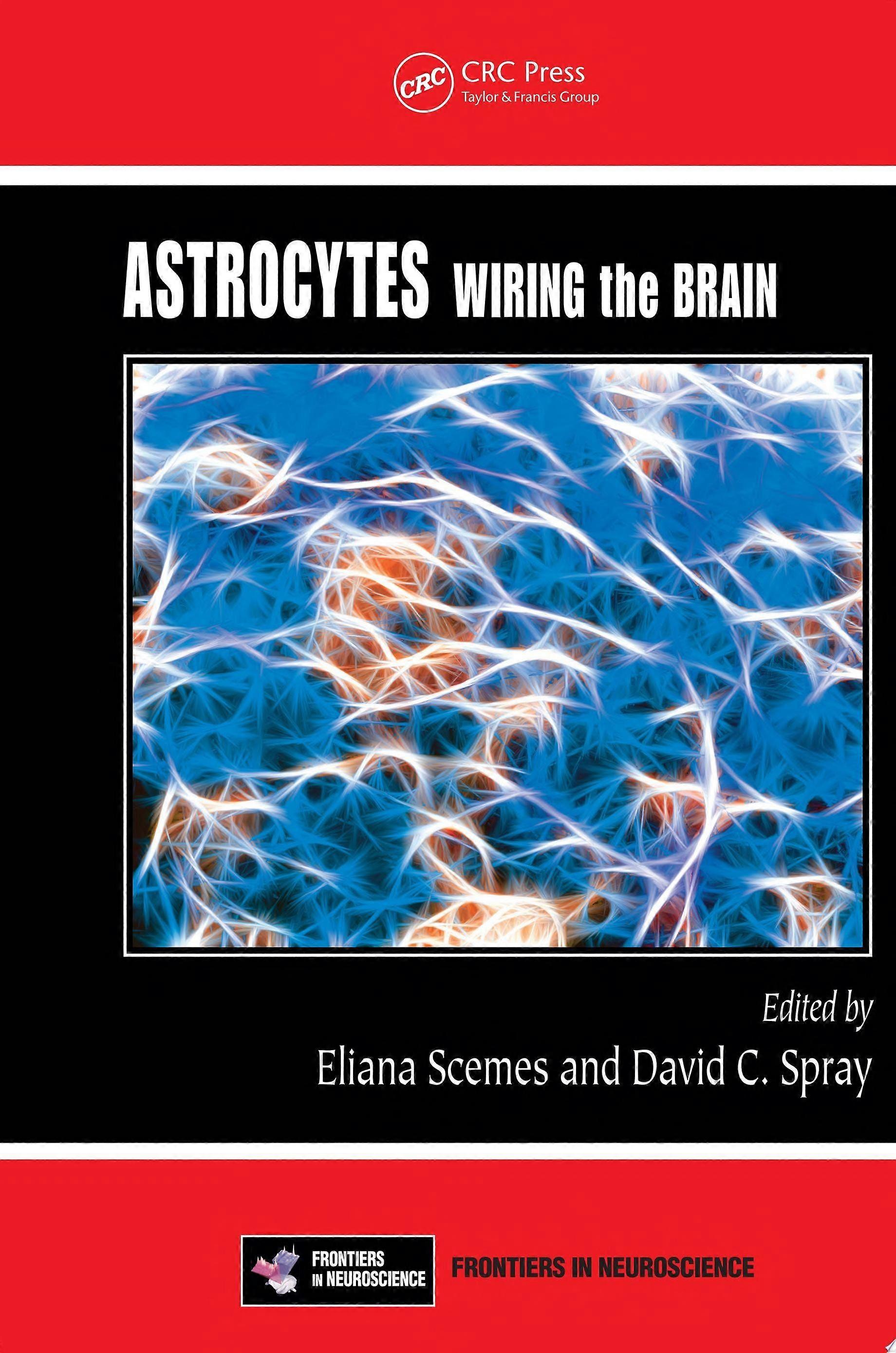 Astrocytes wiring the brain