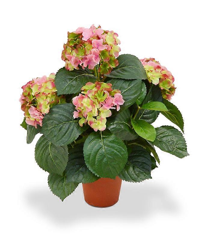 Hortensia (45 cm)