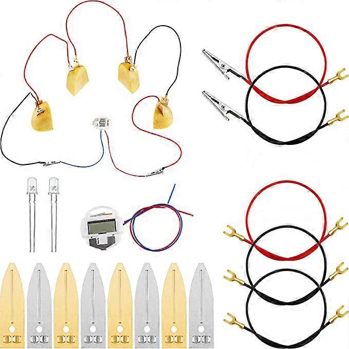 Fruit Battery Science Experiment Kit Orange Potato Lemon Battery Physics Teaching Experiment with 2 Pieces Electronic Clock Educational Toy for Studen