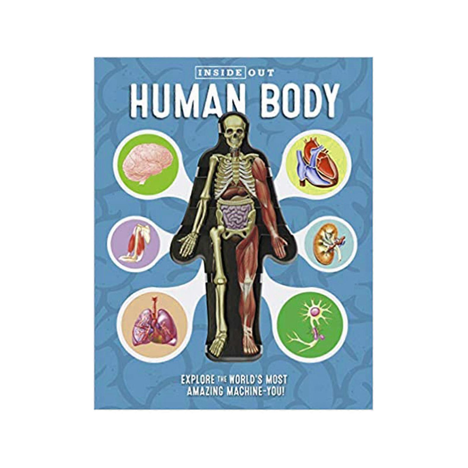3D Picture Human Body Structure Anatomy Science Children Early Education Books kaesi