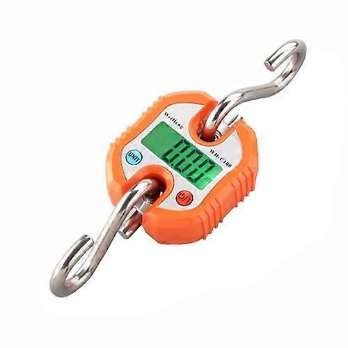Mini Hanging Scale Heavy Electronic Digital Scales Stainless Steel 150kg 50g Luggage Scale Loop Weight Balance with Hook