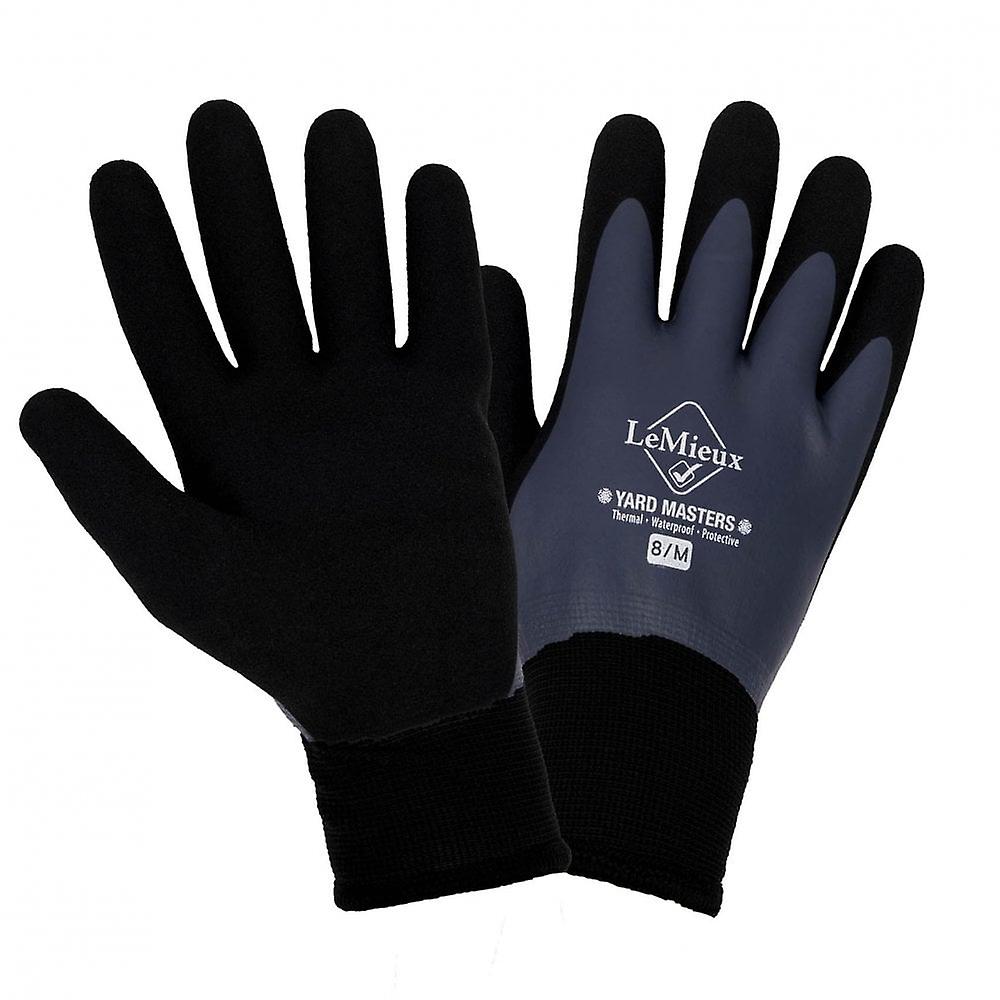 Women's LeMieux Lemieux My Lemieux Winter Work Gloves - Navy Blue