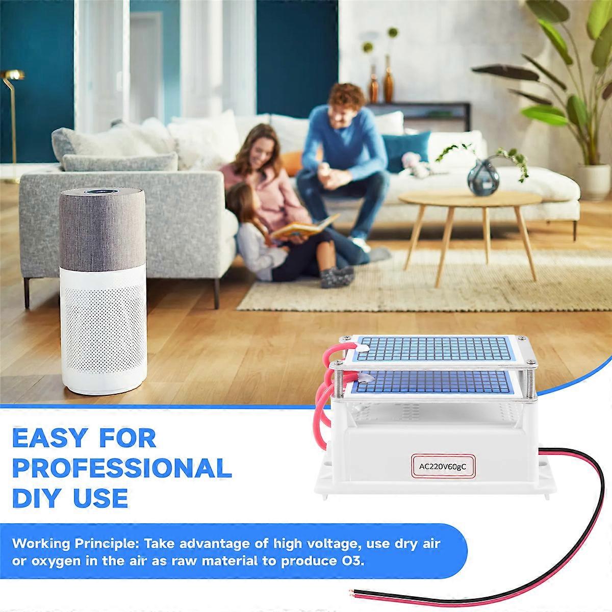 60G/H Generator Air Cleaner Remove Odor Machine 220V