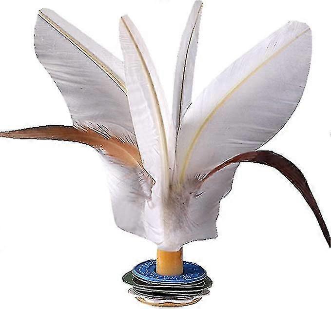 5 kpl värikäs höyhen Jianzi Kick Shuttleboll ulkona urheilulelupeli