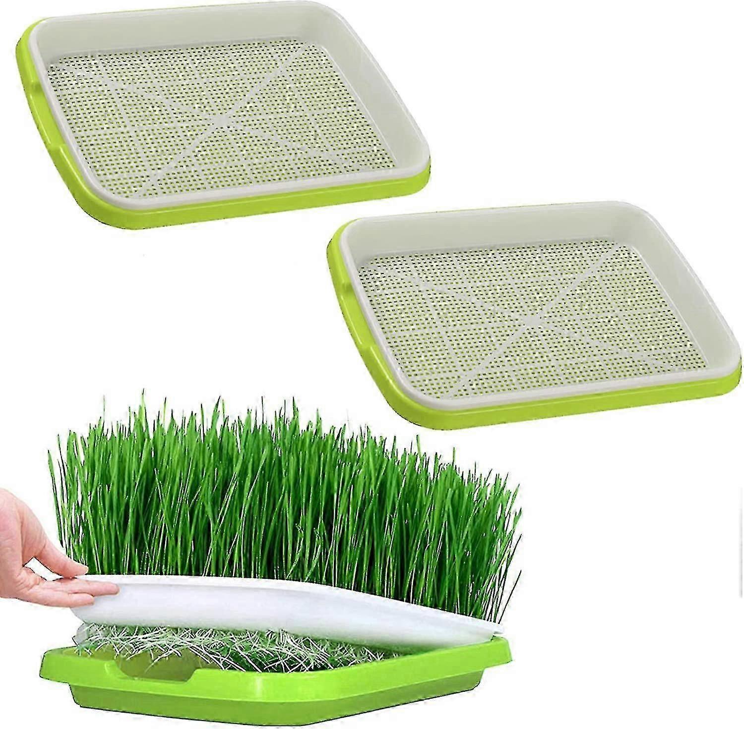 Seed Sprouter Tray Seedlings Germination Trays Seed Starter Tray Seed Germination Tray Germination Tray Sprouts Pack Of 2