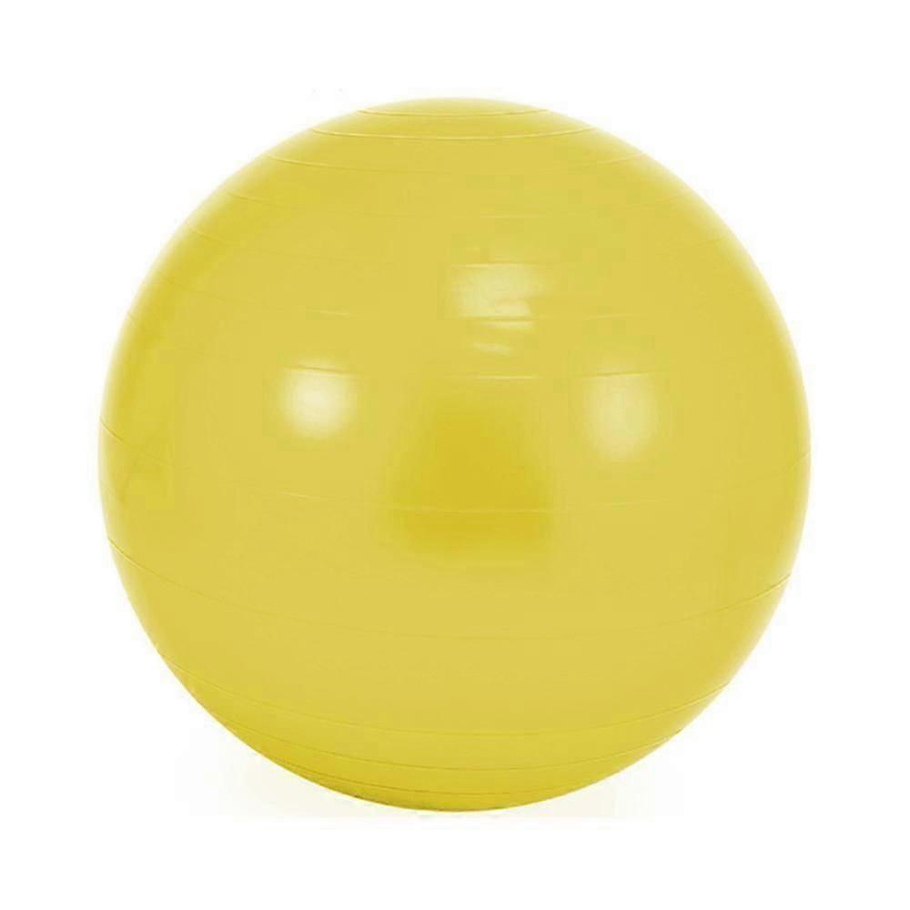 Ballon d’exercice de stabilité professionnel pour les entraînements à domicile, l’entraînement à l’équilibre et la physiothérapie