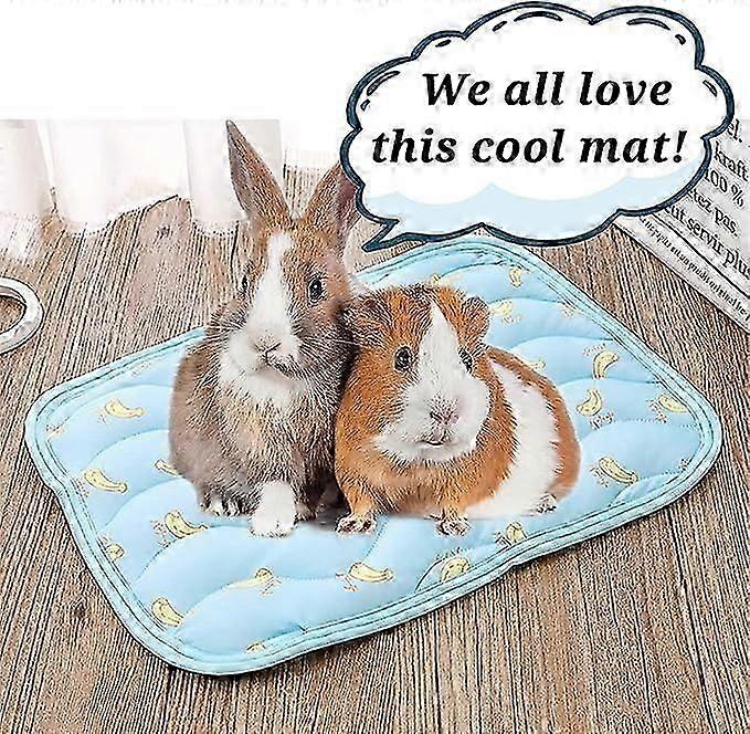 سرير تبريد للقطط / الكلاب ، حصيرة تبريد الحيوانات الأليفة الصيفية مصنوعة من الحرير المثلج ، حصيرة تبريد حرير الجليد القابلة للغسل ، بطانية تبريد للحيوانات الأليفة