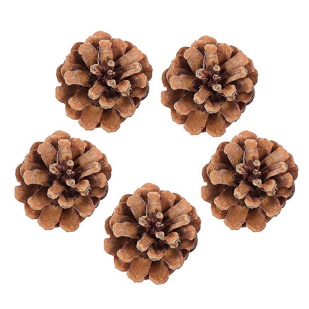 Parrot Chewing Toys For Cockatiels Home Decor 6.00X6.00X5.50CM Versatile Use 5Set