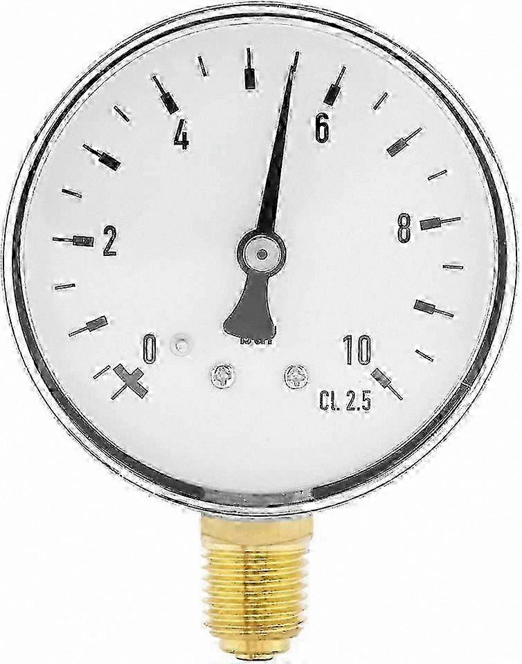 High Precision 0-10 Bar Pressure Gauge with 1/4" NPT Thread for Water, Oil, and Air, Side Mount Design hwy